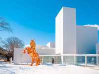 十和田市現代美術館