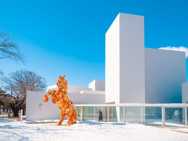十和田市現代美術館