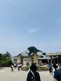 🐋Okinawa Churaumi Aquarium🐋