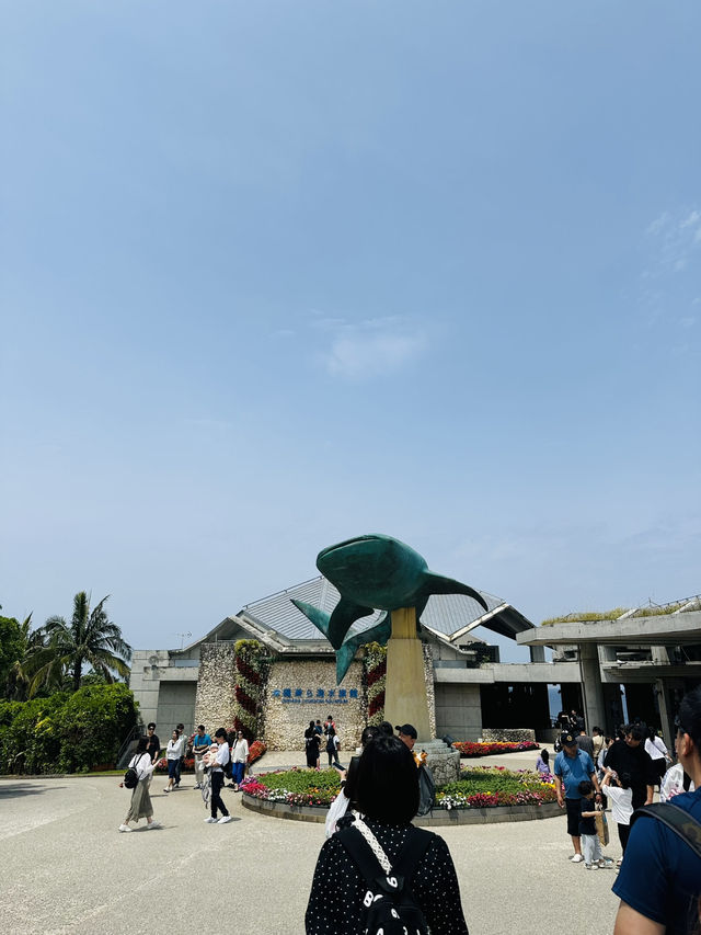 🐋Okinawa Churaumi Aquarium🐋