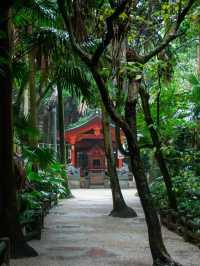 【宮崎】海に浮かぶ神秘の島⛩️青島神社で縁結び旅🌊
