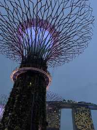 🌺 Gardens by the Bay – สวนล้ำโลกกลางสิงคโปร์