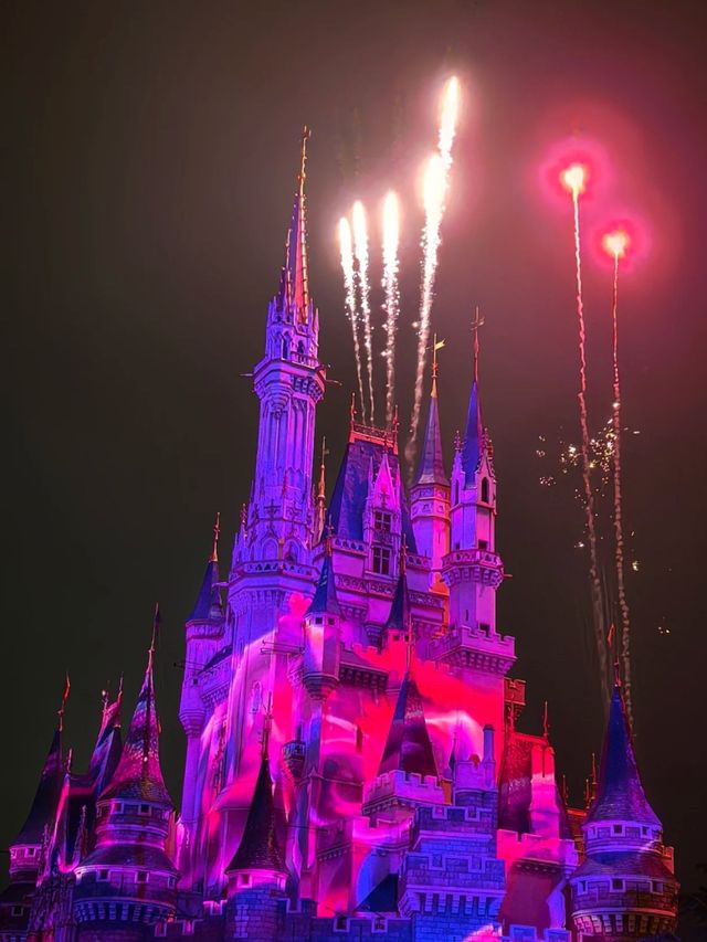 Where Disney Dreams Soar – Tokyo Disneyland Awaits!