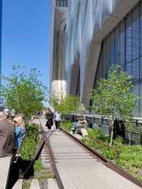 Elevated Escapes: Discovering the Art and Nature of NYC's High Line!