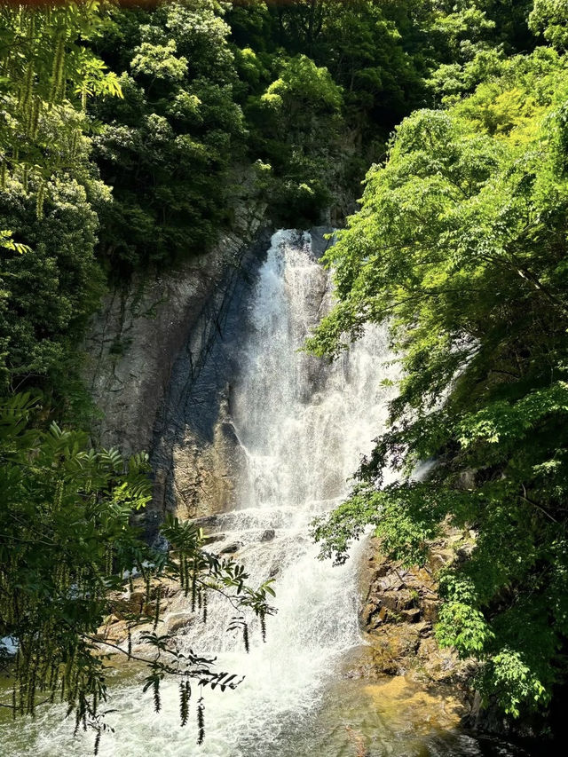 Nunobiki Falls (布引の滝) – Kobe’s Hidden Natural Oasis** 🌿💦