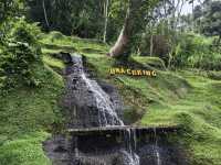 Ubud Highlights: Breathtaking Views & Sacred Springs! 🌋🌿✨