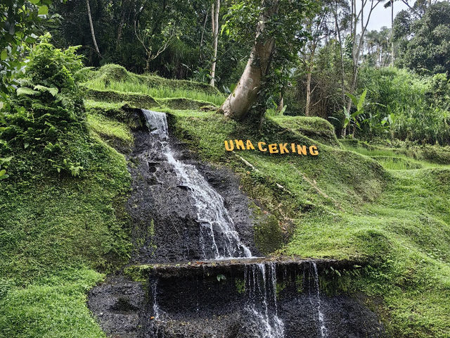 Ubud Highlights: Breathtaking Views & Sacred Springs! 🌋🌿✨