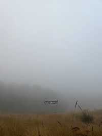 กิ่วแม่ปาน
