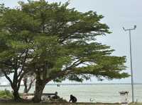 Hidden Waves, Quiet Days – Discover Tanjung Gemok
