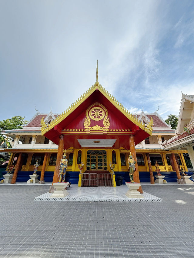 เคยเห็นมั้ย? ค้างคาวแม่ไก่ วัดโพธิ์บางคล้า