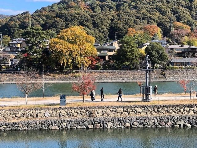 우지강 풍경 산책기