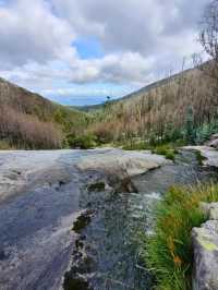Fresh Dips and Forest Vibes at Piscinas Naturales