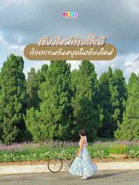 กิจกรรมยามว่างในเชียงใหม่ 🫶🏻