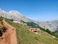 Rolling Hills and Cow Bells at Collado de Pandébano