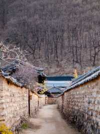 🏯✨ *Nampyeong Moon Clan’s Historic Residence (남평 문씨 본리 고택): A Journey to Joseon-Era Nobility* 🌿📜