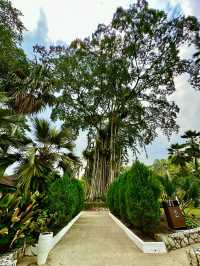 Refined Calm in the City: Oasis Garden Experience 
