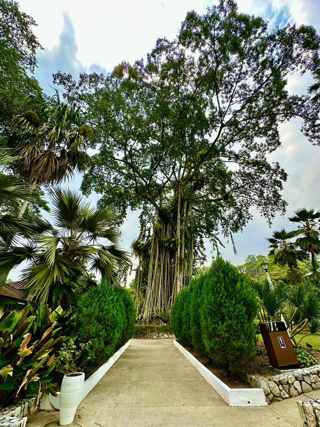 Refined Calm in the City: Oasis Garden Experience 