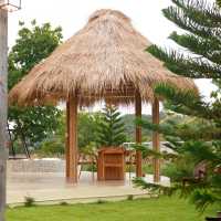 🛖 หลงเขา เขาใหญ่ 🍃🪵 