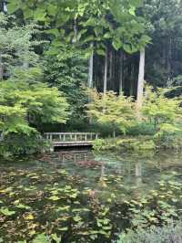名古屋近郊 莫內之池！