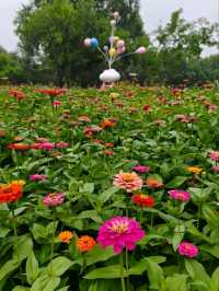 Chaoyang Park – CBD’s Secret Garden in Full Bloom