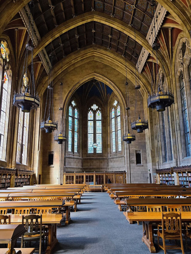 🏞️ University of Washington – A Snow-Capped Dream Campus