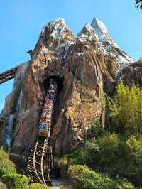 Disney’s Animal Kingdom Highlights | Avatar, Safari & Himalayan Thrills