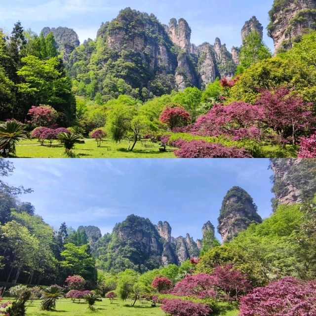 Into the Real-Life Avatar Mountains: A Zhangjiajie Adventure