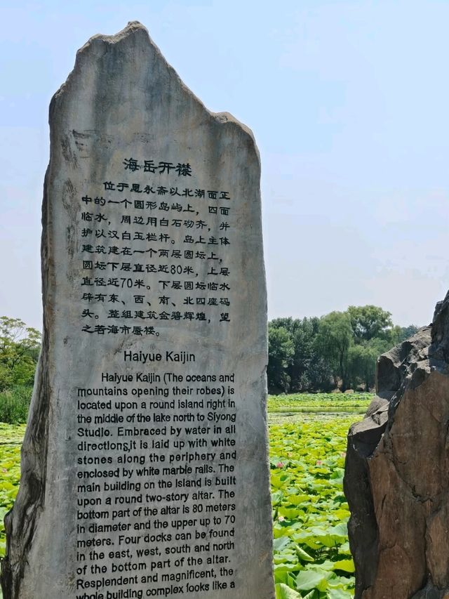 Summer Serenity at Yuanmingyuan: A Lotus Paradise