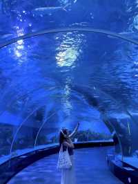 🌊 Quanzhou Oulebao Ocean Kingdom 🐋
