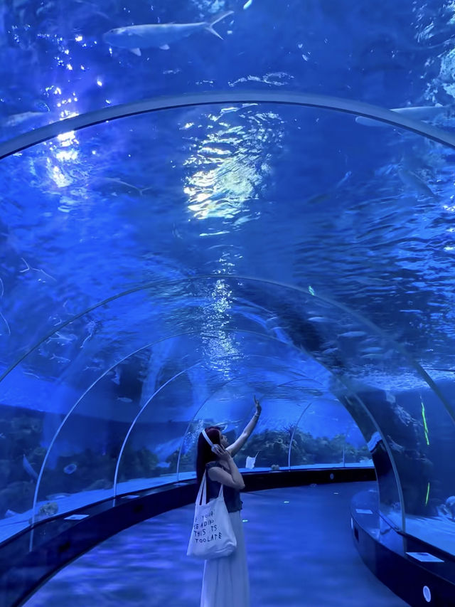 🌊 Quanzhou Oulebao Ocean Kingdom 🐋