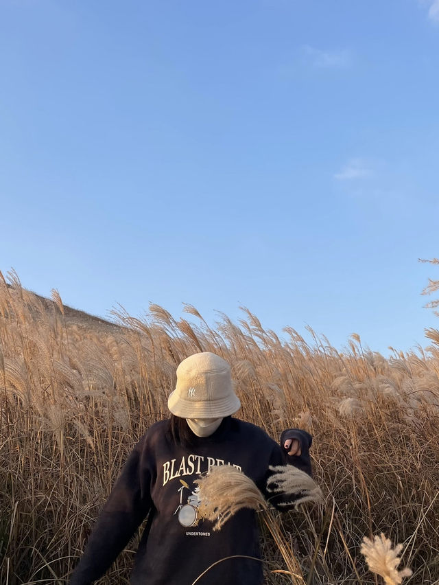 제주도 여행을 추천 드리는 이유