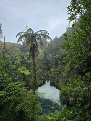 #holidayitinerary **Lush Tracks and Raft Drops at Okere Falls**
Bay of Plenty, New Zealand

Okere Falls is such a fun little spot, especially if you’re into a mix of nature and action. The walking trail is super easy and follows the Kaituna River through heaps of greenery, with cool lookouts over the falls and rapids. It’s all really lush and peaceful, but the best part is watching the whitewater rafters drop over Tutea Falls. It’s like a surprise rollercoaster in the forest.

The main loop only takes about 30 minutes if you're strolling, but you’ll want to stop and watch the water and maybe even spot glowworms if you're around at dusk. The old hydro station ruins along the trail are also cool to check out.

There’s a little car park near the main entrance and a public toilet. No food or drink stalls around though, so pack your own if you’re hanging out for a bit. Okere Falls is lowkey and super chill, with just enough excitement to keep things interesting.
