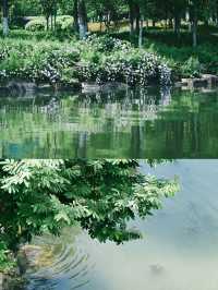 Shaoxing｜Tea by the River at Keqiao Ancient Town – A Hidden Gem for Slow Living