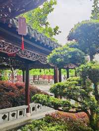 Cultural Exploration and Historic town