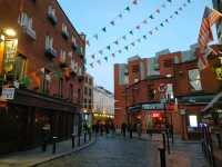 Wandering Through the Charms of Dublin City
