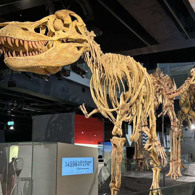 🇦🇺メルボルン博物館の恐竜にびっくり。