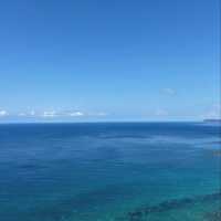 ☀️足摺岬☀️碧海藍旅 🌊