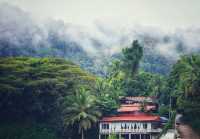 Taman Negara – Hanging Out with a 130-Million-Year-Old Legend
