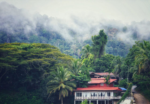 Taman Negara – Hanging Out with a 130-Million-Year-Old Legend
