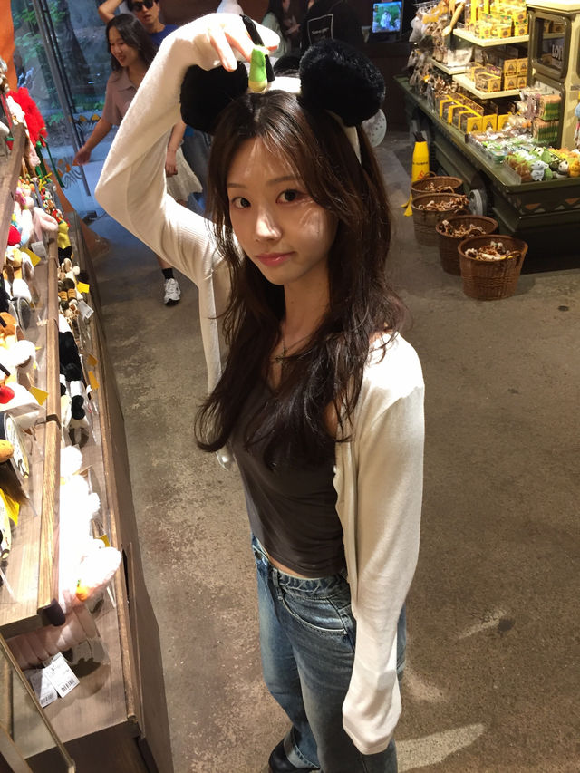 환상의 나라 에버랜드 데이트 🎡👩🏻‍❤️‍👨🏻