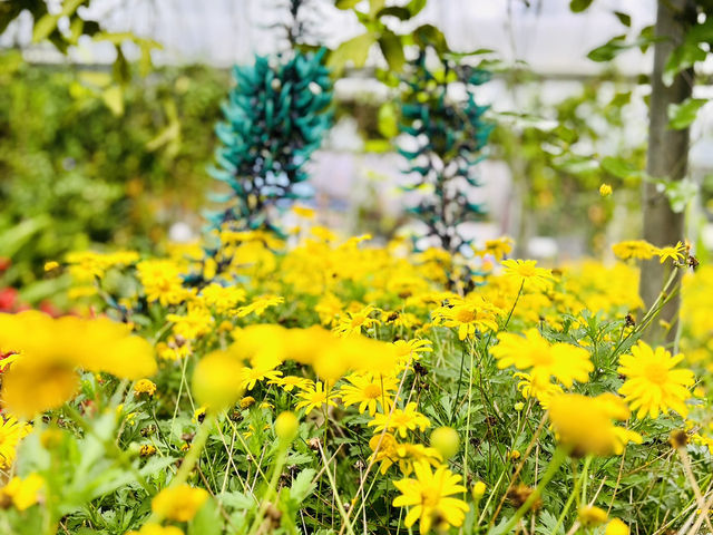 Escape to Nature’s Wonderland! 