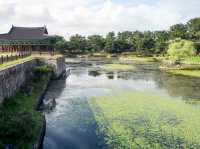 Moonlit Reflections: A Night at Wolji Pond