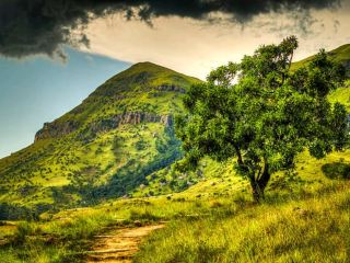 🏞️Mohule Mountain: Zimbabwe's Hidden Gem of Nature