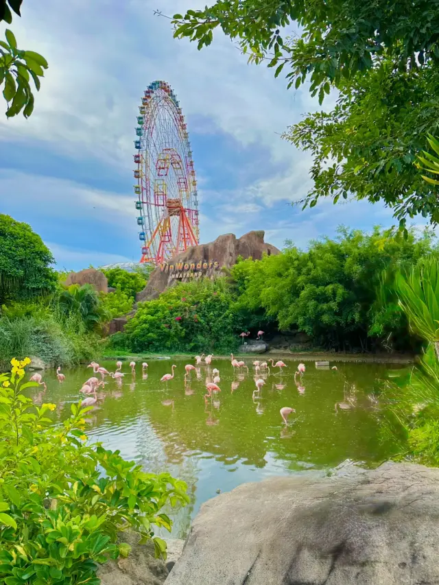 Exploring Nha Trang VinWonders Safari