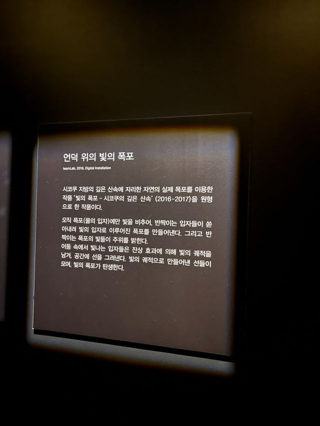빛과 물의 예술, 도쿄 팀랩 플래닛 체험기 ✨🌊 빛과 물의 예술, 도쿄 팀랩 플래닛 체험기 ✨🌊