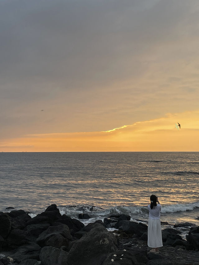 🌊 제주 해변 비교 후기 🌅 협재 vs 애월 vs 이호테우