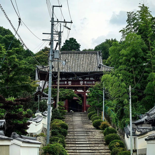 尾花澤市秘境寺廟美拍指南