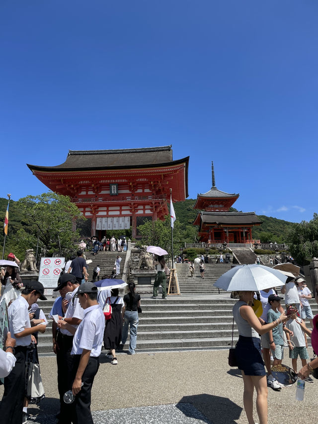 일본에서 가장 유명한 사찰 🏯
