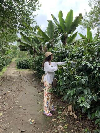 살렌토의 숨겨진 보석: 커피, 산, 그리고 마법
