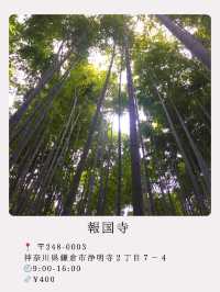 【鎌倉】絶景！マストで行きたい映える寺院と神社